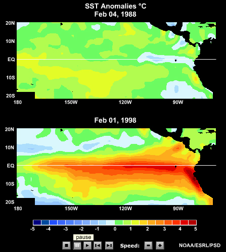 SST Animation of Two Strong La Nina Episodes (1988-89 and 1998-99)